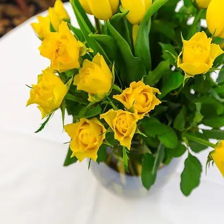 爱尔兰酒店 酒店