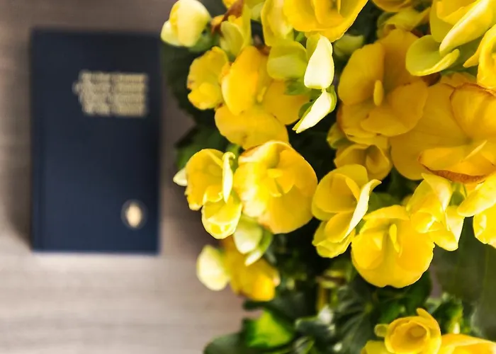 Irlande ホテル ルルド